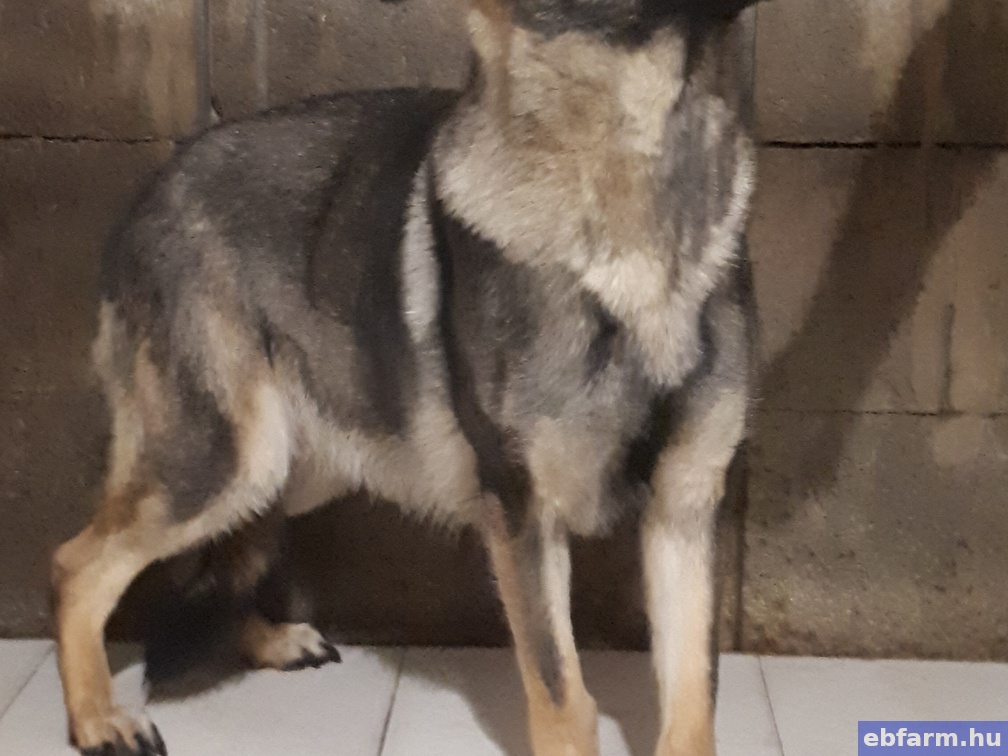 Nala