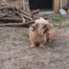 Nelly