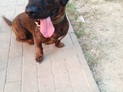 Axel